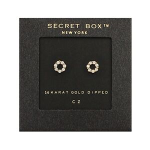 CZ Mini Circle Studs